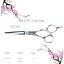 Парикмахерские ножницы SWAY Infinite 110 104575 размер 5,75