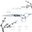 Технічні характеристики Перукарські ножиці SWAY Elite 110 20160 розмір 6 - 2