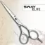 Парикмахерские ножницы SWAY Elite Day 110 20550 размер 5 - 1